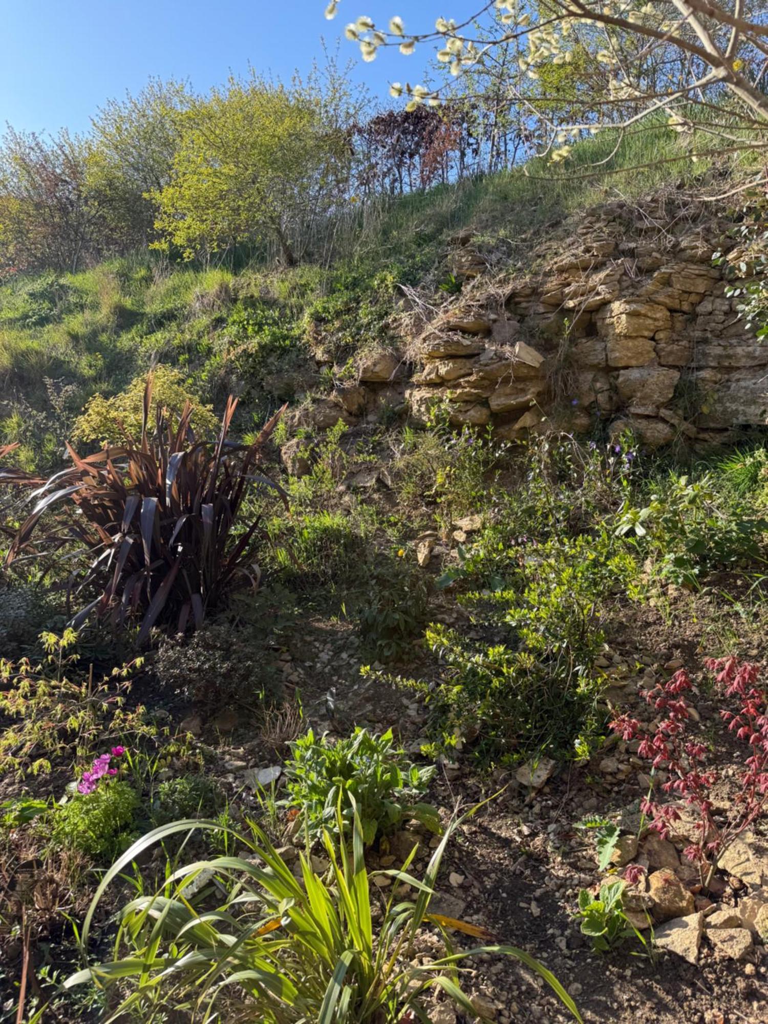 צ'יפנהאם Mulberry House Farm The Garden Room מראה חיצוני תמונה